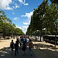 Strolling down the Champs Elysees heading for the Louvre