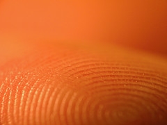 Fingerprint